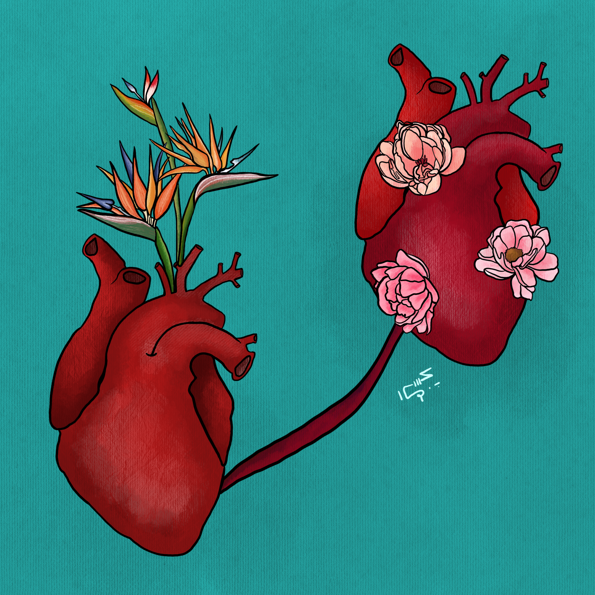 Connected at Heart